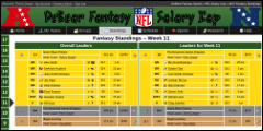 DeBear Fantasy NFL Salary Cap Standings